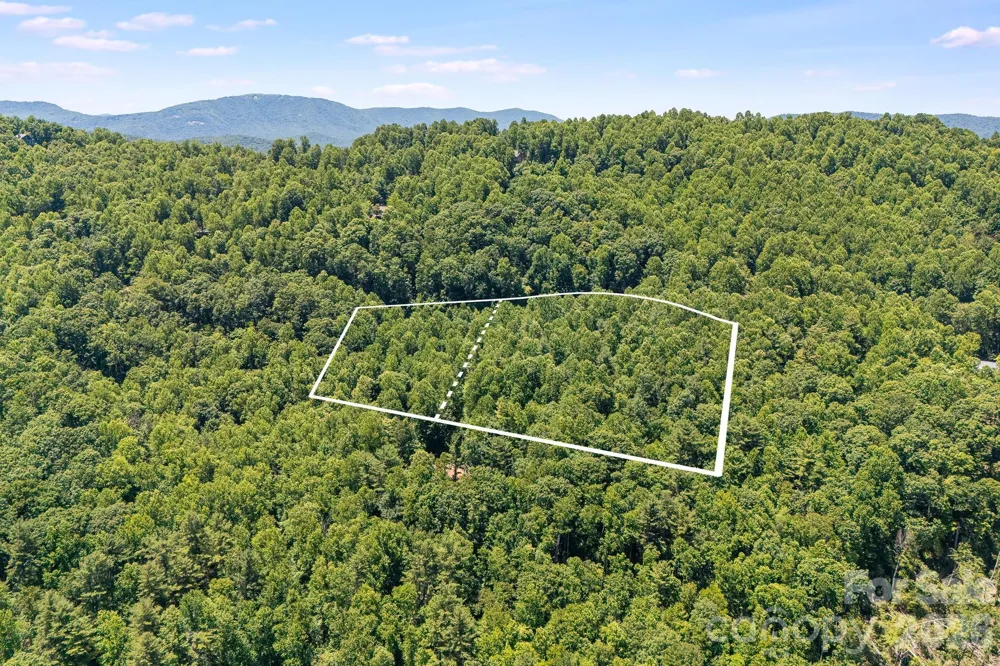 TBD Solomon Circle #16 & 17 Hendersonville, NC 28739