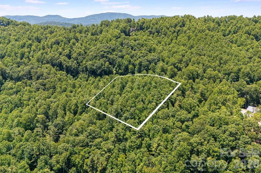 TBD Solomon Circle #16 & 17 Hendersonville, NC 28739