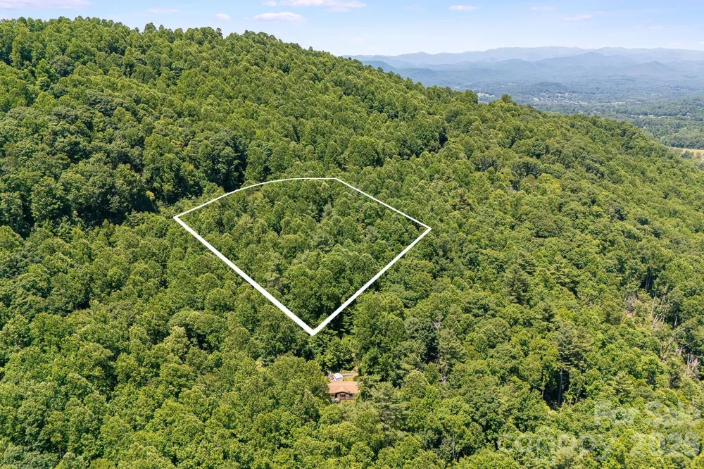 TBD Solomon Circle #16 & 17 Hendersonville, NC 28739