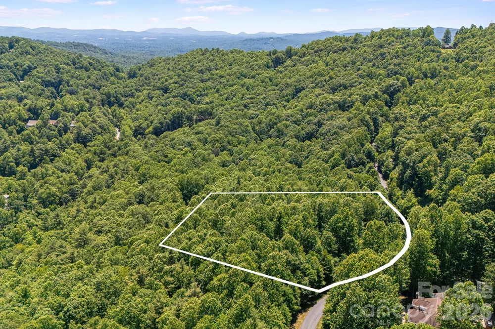 TBD Solomon Circle #16 & 17 Hendersonville, NC 28739