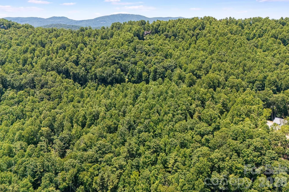 TBD Solomon Circle #16 & 17 Hendersonville, NC 28739