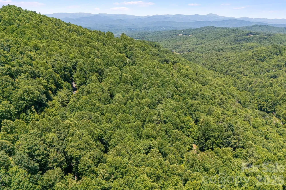 TBD Solomon Circle #16 & 17 Hendersonville, NC 28739
