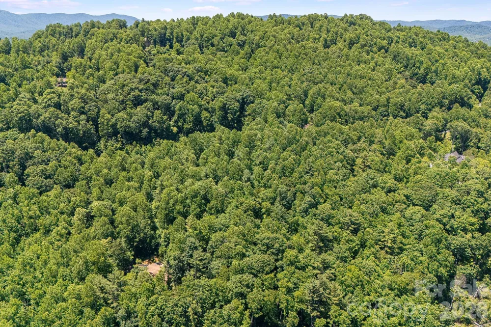 TBD Solomon Circle #16 & 17 Hendersonville, NC 28739