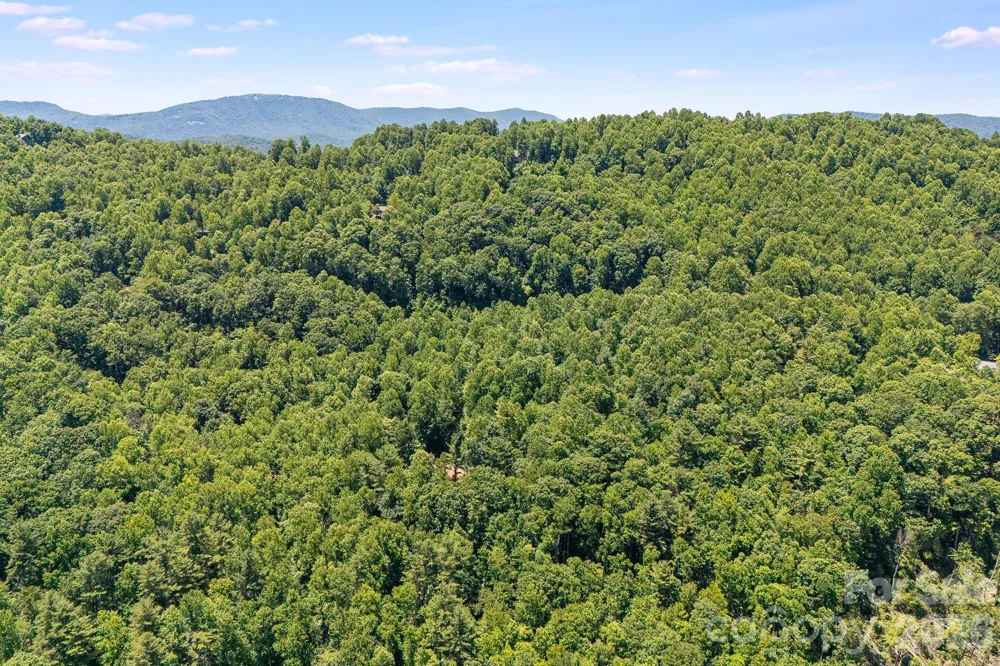 TBD Solomon Circle #16 & 17 Hendersonville, NC 28739