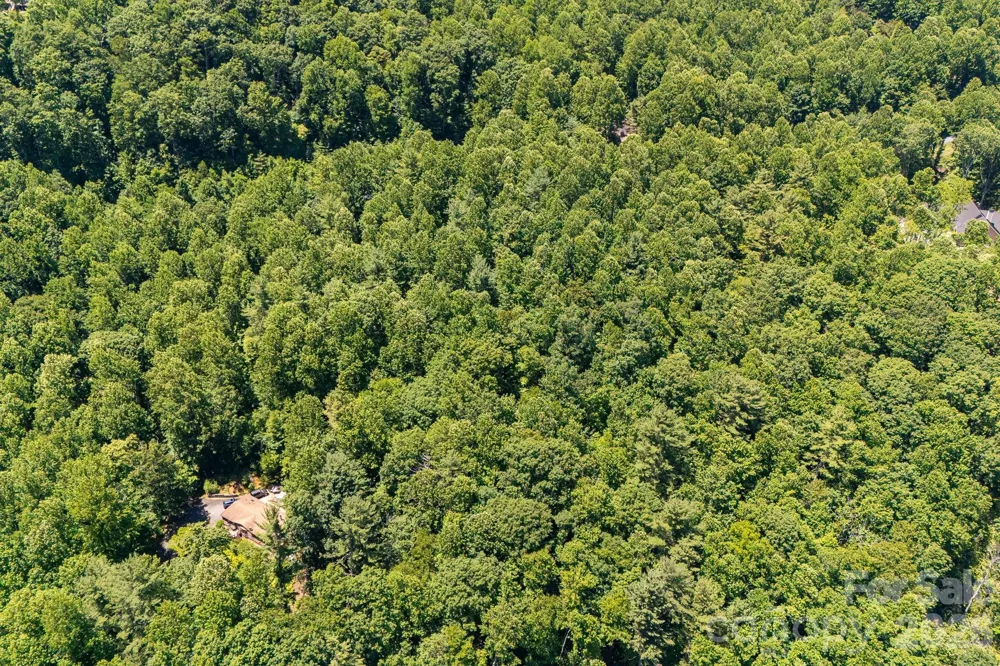 TBD Solomon Circle #16 & 17 Hendersonville, NC 28739