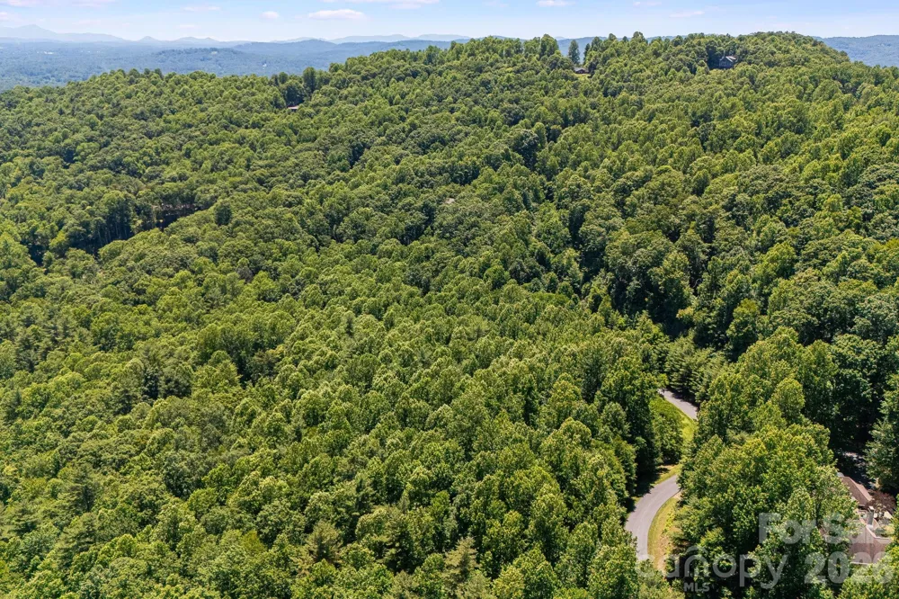TBD Solomon Circle #16 & 17 Hendersonville, NC 28739