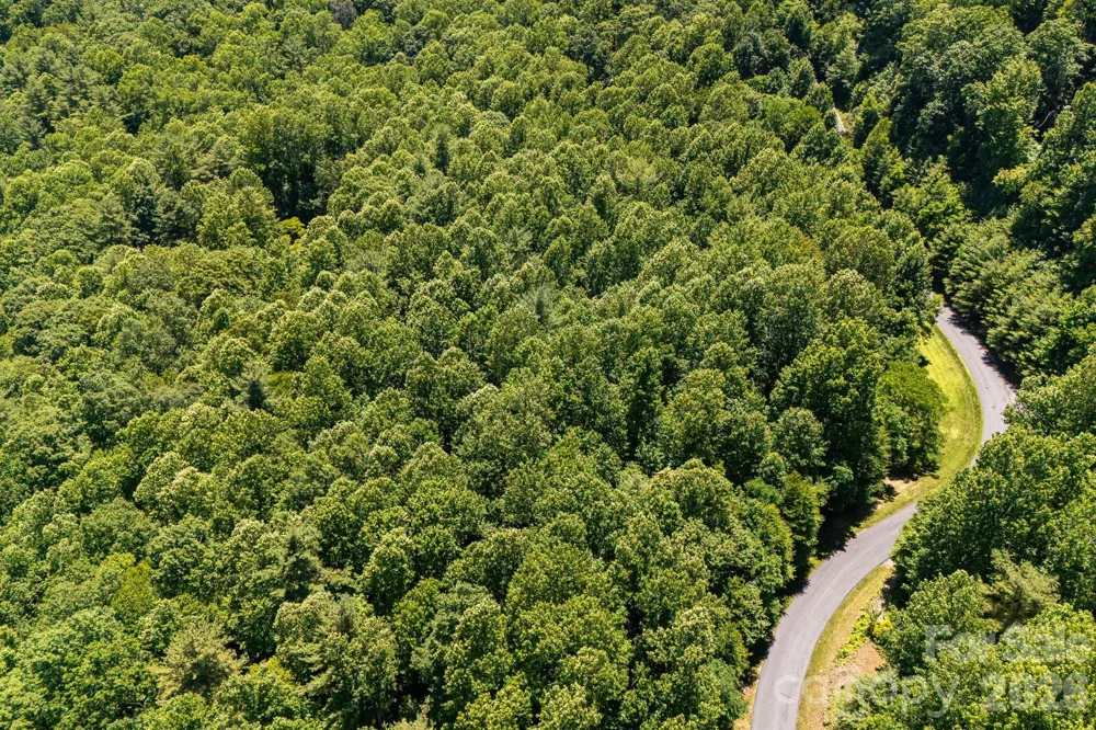 TBD Solomon Circle #16 & 17 Hendersonville, NC 28739
