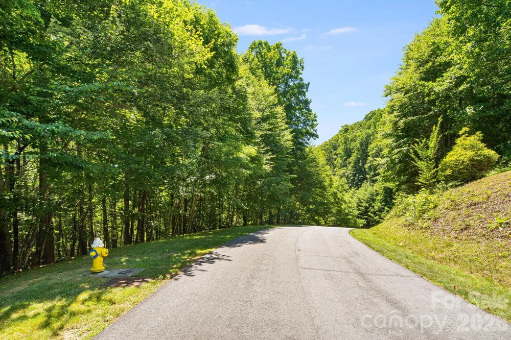 TBD Solomon Circle #16 & 17 Hendersonville, NC 28739