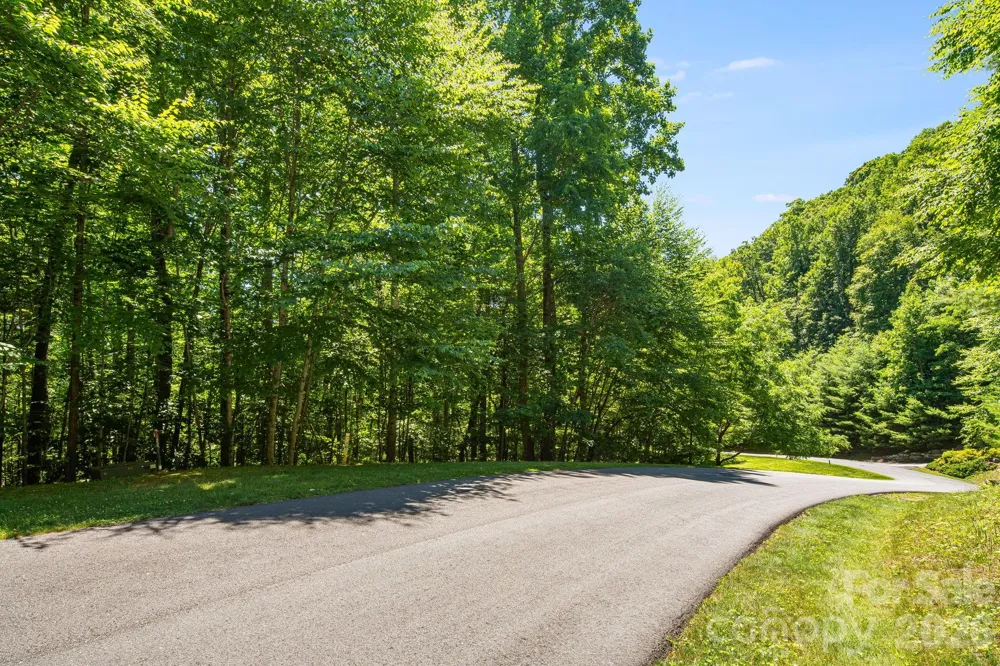 TBD Solomon Circle #16 & 17 Hendersonville, NC 28739