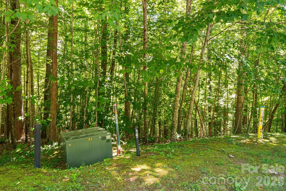 TBD Solomon Circle #16 & 17 Hendersonville, NC 28739