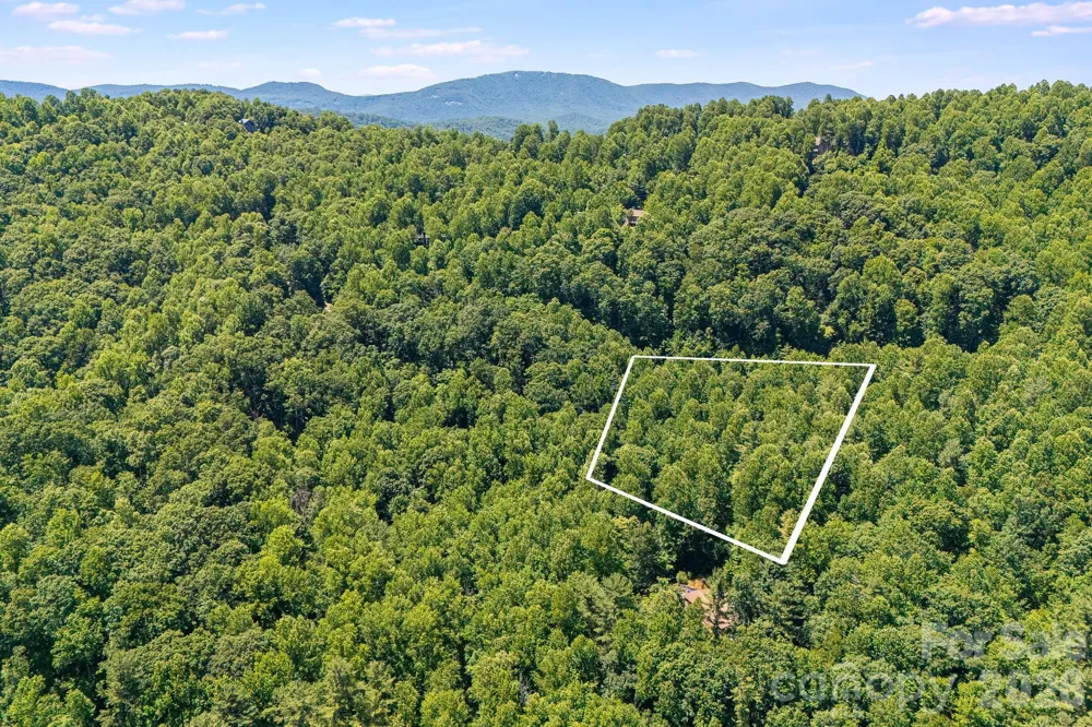 TBD Solomon Circle #16 & 17 Hendersonville, NC 28739