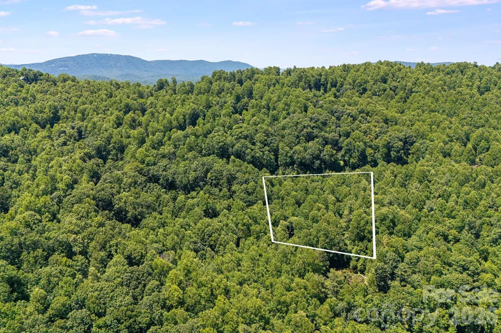 TBD Solomon Circle #16 & 17 Hendersonville, NC 28739