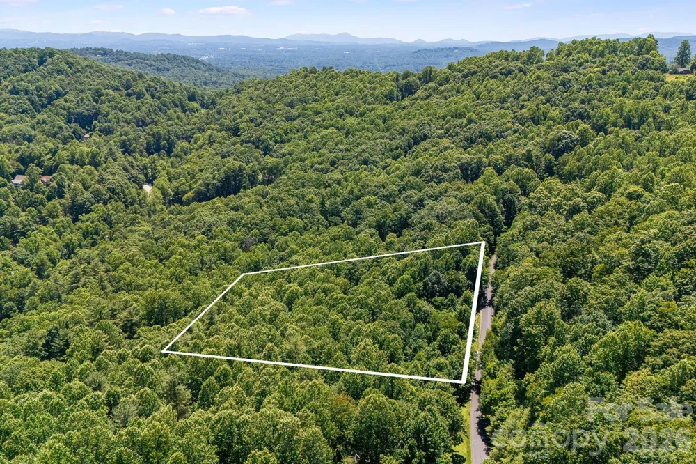 TBD Solomon Circle #16 & 17 Hendersonville, NC 28739