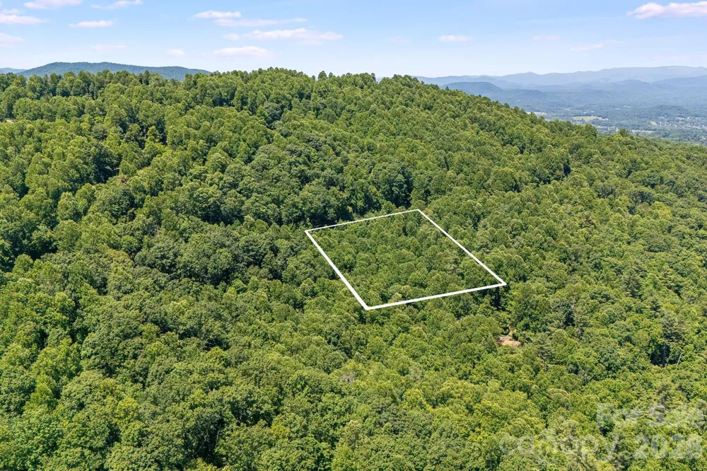TBD Solomon Circle #16 & 17 Hendersonville, NC 28739