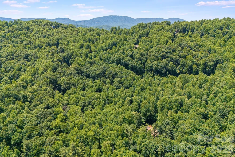 TBD Solomon Circle #16 & 17 Hendersonville, NC 28739