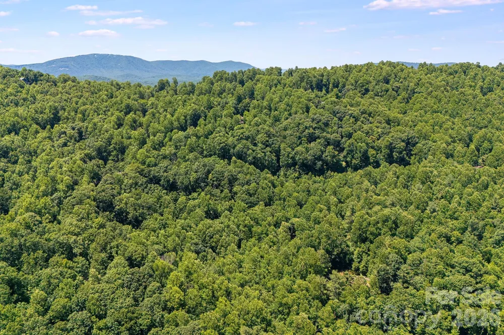 TBD Solomon Circle #16 & 17 Hendersonville, NC 28739