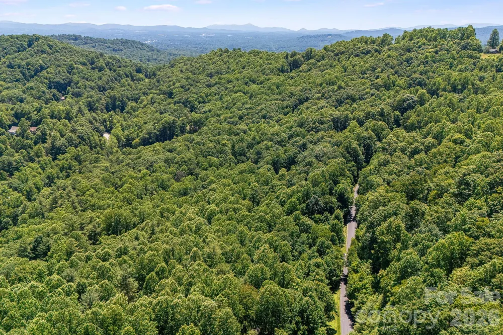 TBD Solomon Circle #16 & 17 Hendersonville, NC 28739