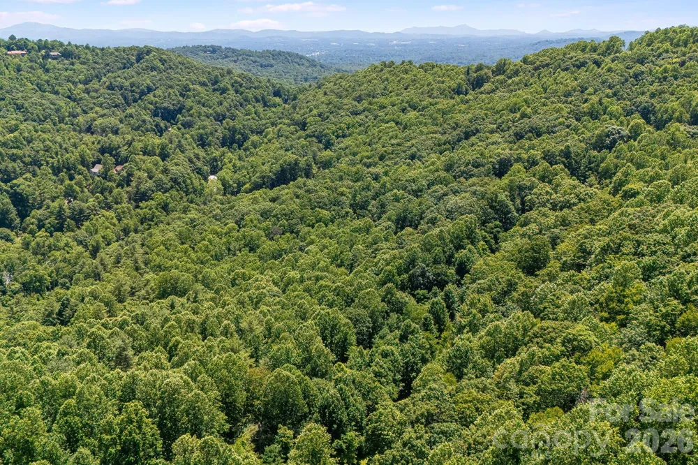 TBD Solomon Circle #16 & 17 Hendersonville, NC 28739