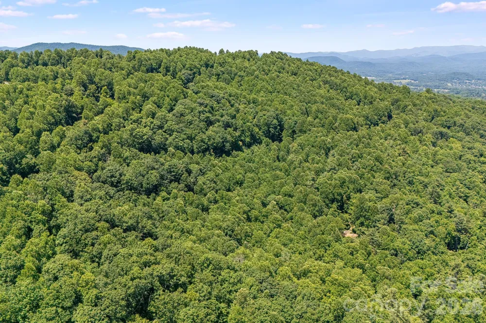 TBD Solomon Circle #16 & 17 Hendersonville, NC 28739