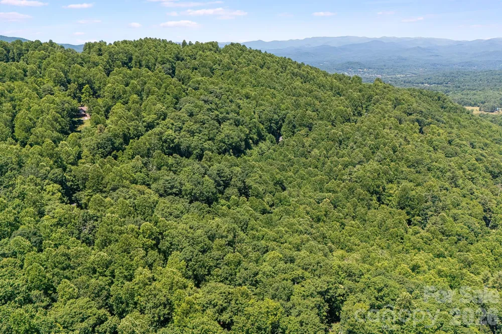 TBD Solomon Circle #16 & 17 Hendersonville, NC 28739