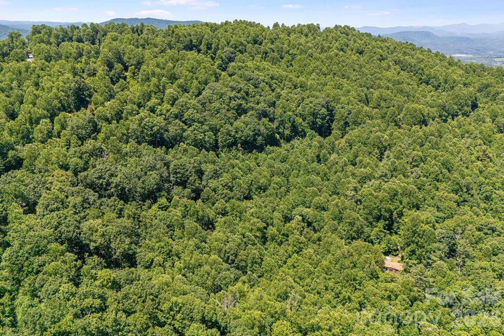 TBD Solomon Circle #16 & 17 Hendersonville, NC 28739
