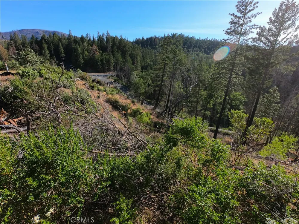 13627 View Road Cobb, CA 95426