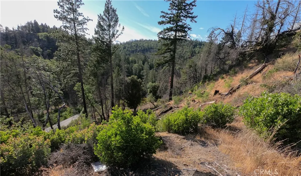 13627 View Road Cobb, CA 95426