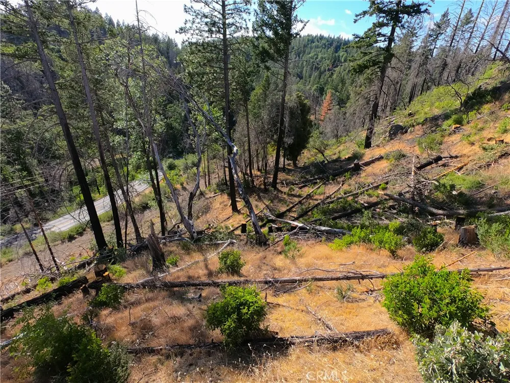 13627 View Road Cobb, CA 95426
