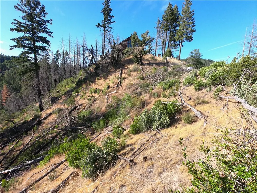 13627 View Road Cobb, CA 95426