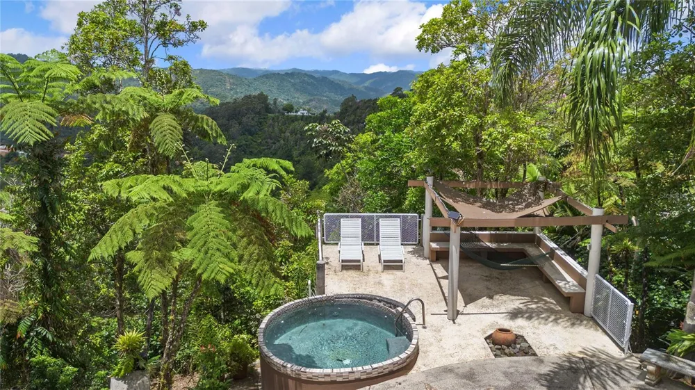 PR-184 GUAVATE Cayey, PR 00736