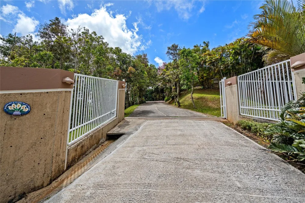 PR-184 GUAVATE Cayey, PR 00736