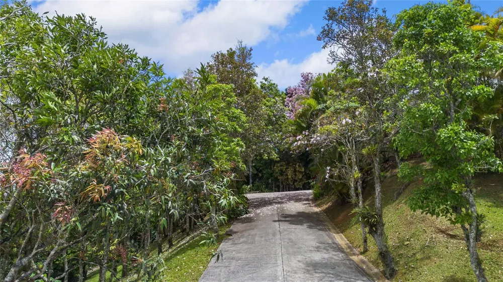 PR-184 GUAVATE Cayey, PR 00736