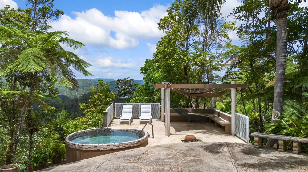PR-184 GUAVATE Cayey, PR 00736
