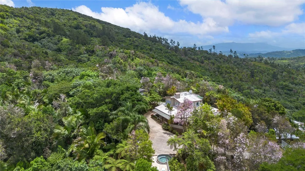 PR-184 GUAVATE Cayey, PR 00736