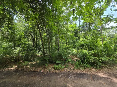 16816 Mimosa Lane