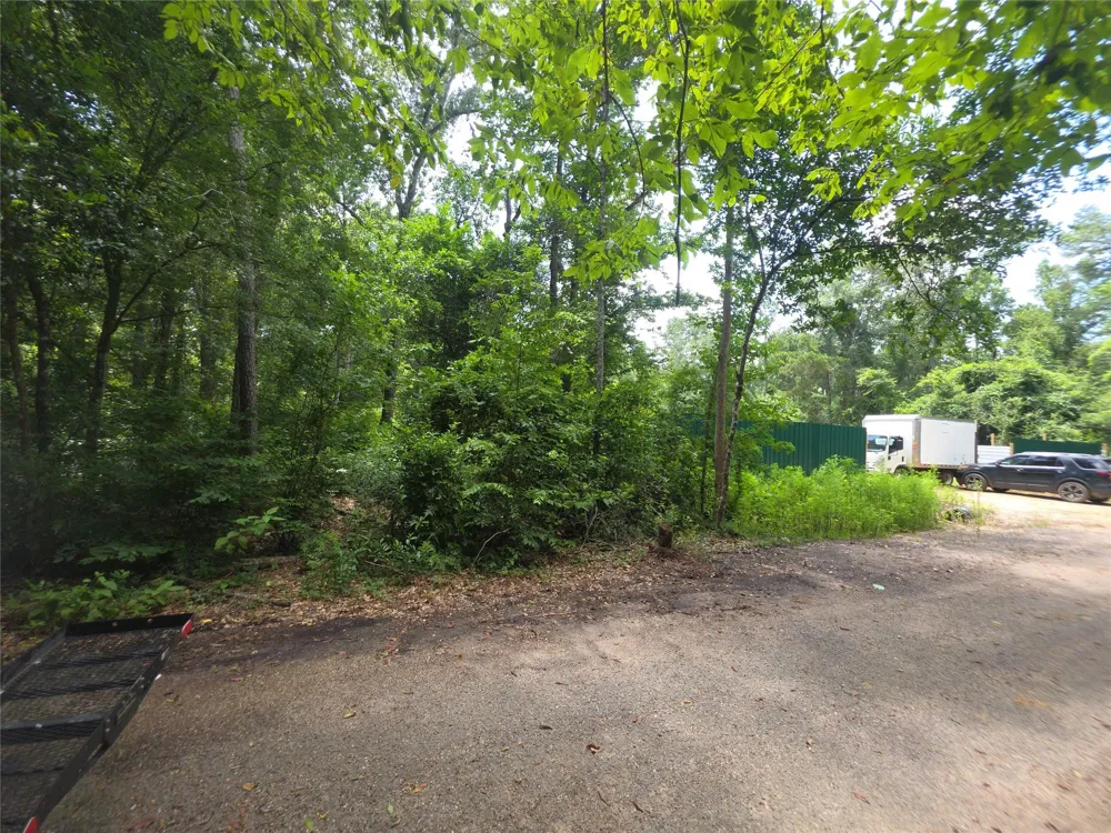 16816 Mimosa Lane Splendora, TX 77372