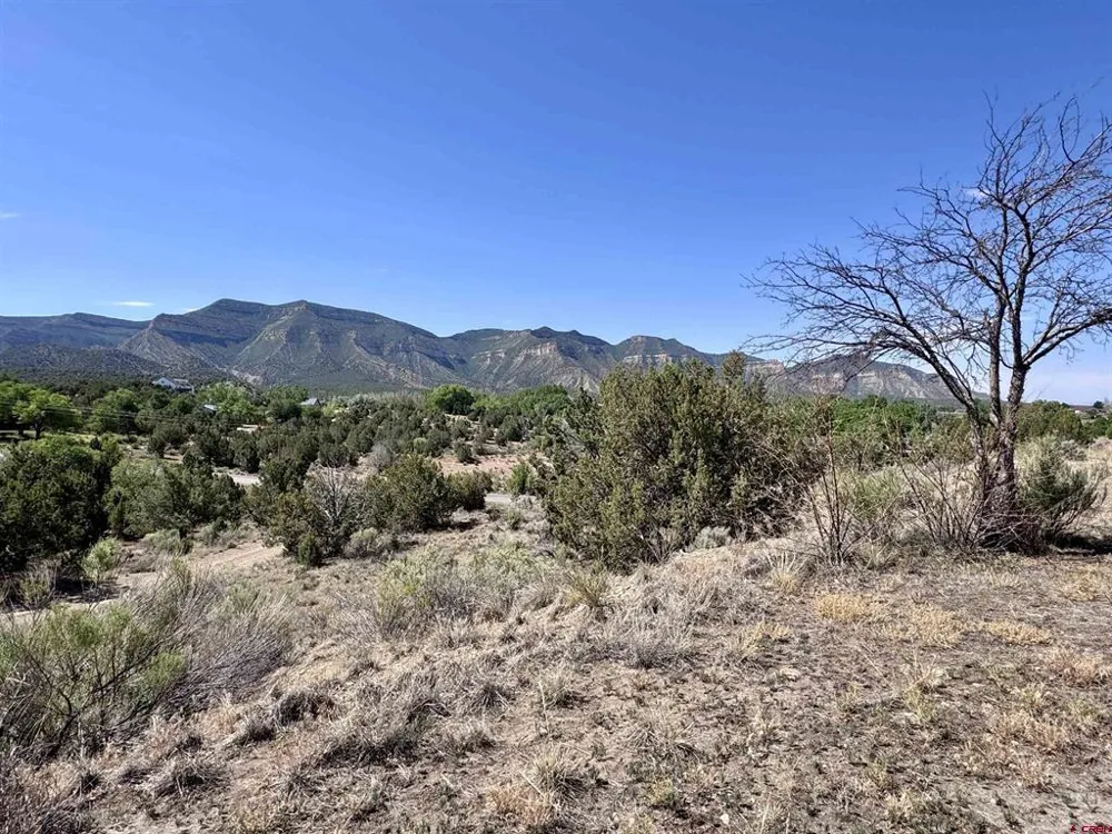 25120 Road F Cortez, CO 81323