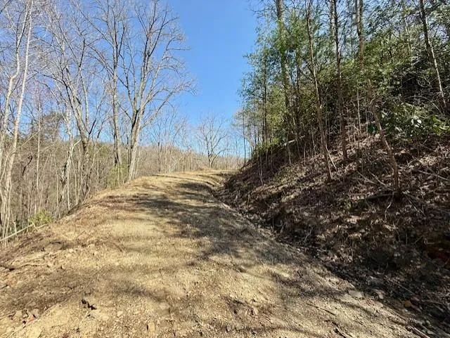 Lot 3 Wild Laurel Brasstown, NC 28902