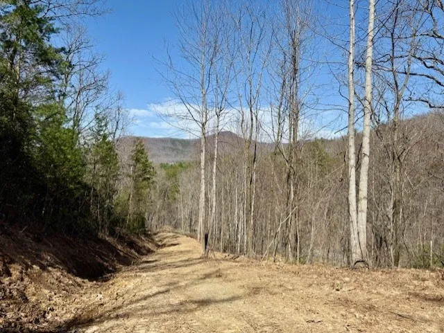 Lot 3 Wild Laurel Brasstown, NC 28902