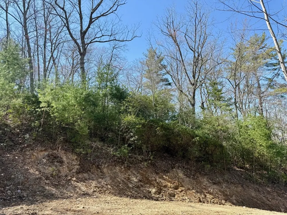 Lot 3 Wild Laurel Brasstown, NC 28902