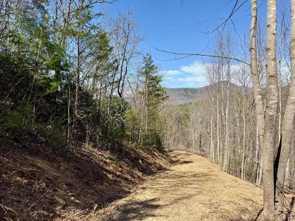 Lot 3 Wild Laurel Brasstown, NC 28902