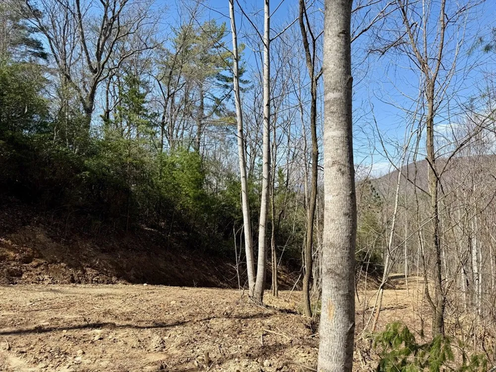 Lot 3 Wild Laurel Brasstown, NC 28902