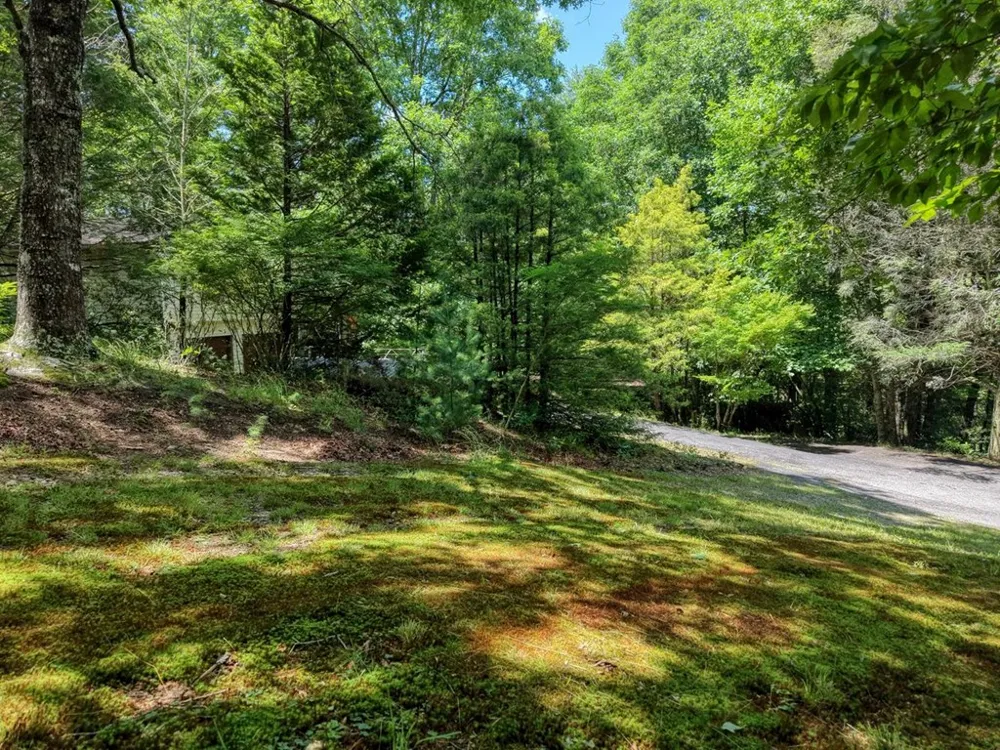9258 Hwy 60 Suches, GA 30572