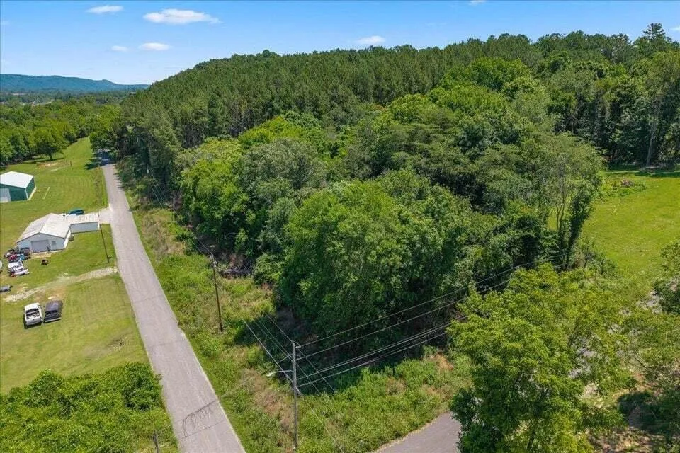 2324 Hinch Street Spring City, TN 37381