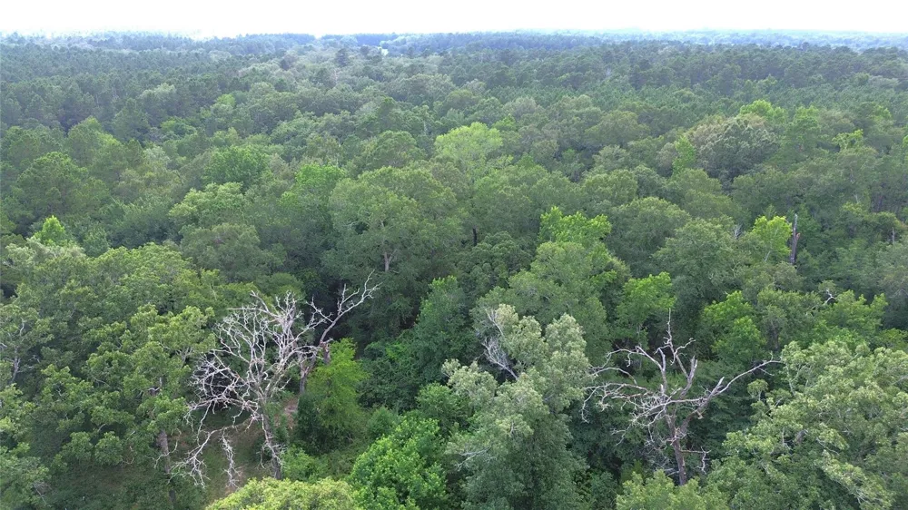 County Road 4030 Crockett, TX 75835