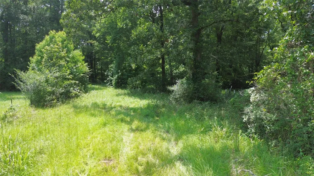 County Road 4030 Crockett, TX 75835