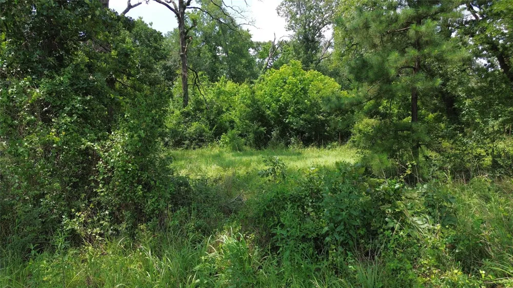 County Road 4030 Crockett, TX 75835