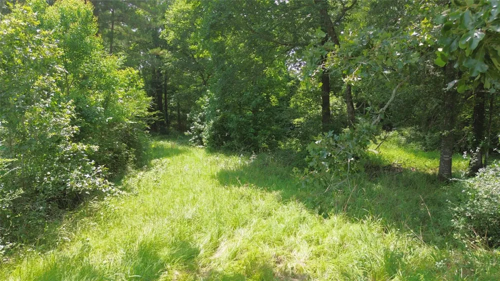 County Road 4030 Crockett, TX 75835
