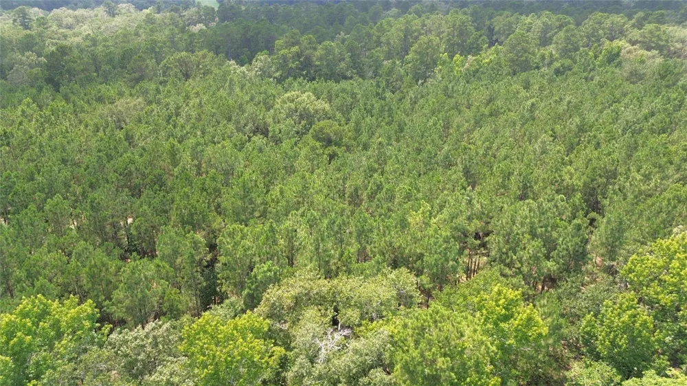 County Road 4030 Crockett, TX 75835