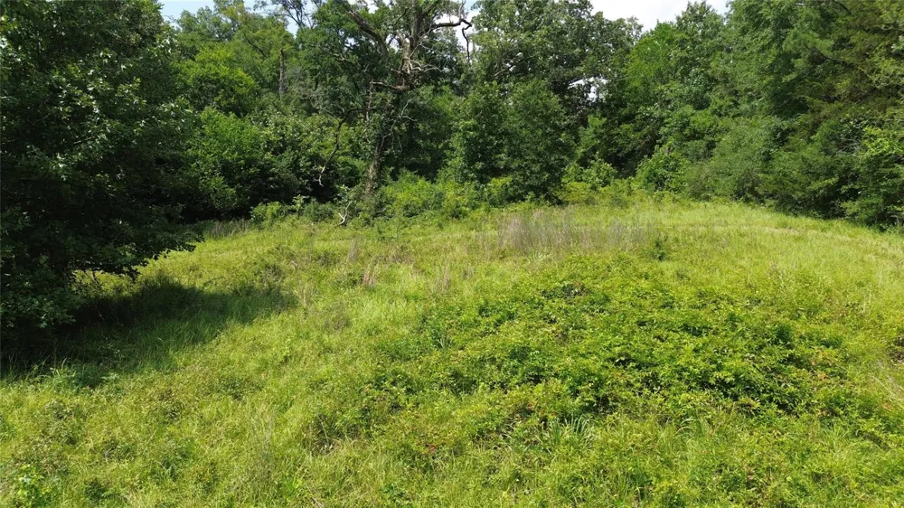 County Road 4030 Crockett, TX 75835